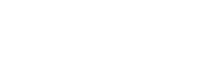 Wingu logo